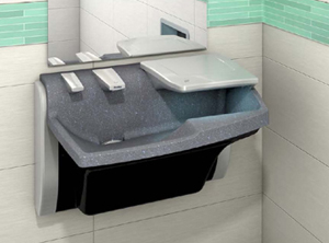 The all-in-oneâ€ Advocate Lavatory System from Bradley Corp. was honored with the 2012 Good Design Award.