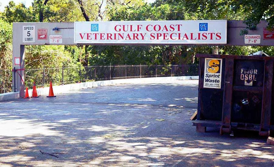 Removing debris from veterinary office after Hurricane Harvey