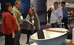 KBIS-IBS attendees