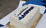 Custom MIFAB cake