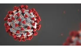 Coronavirus