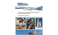 PMI annual report