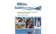 PMI annual report
