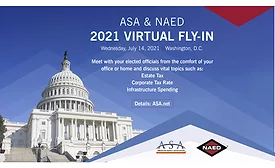 ASA virtual fly in