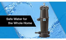 Watts filtration system