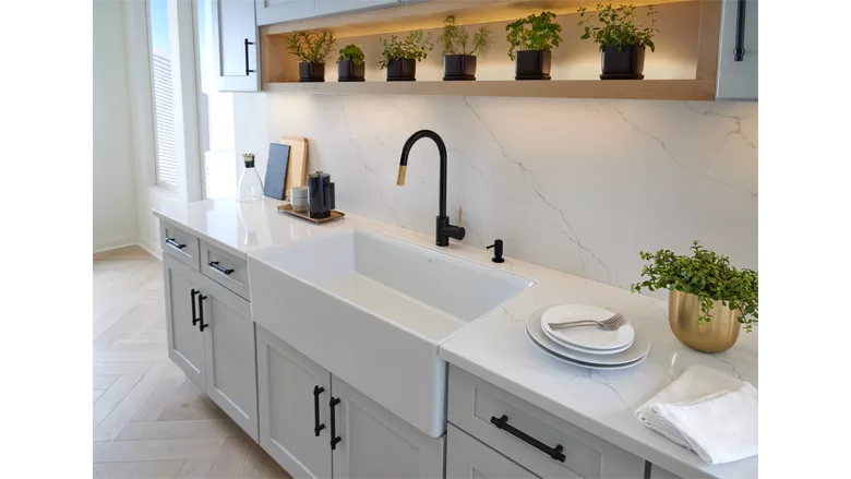 DXV Étre Pull-Down Kitchen Faucet.png