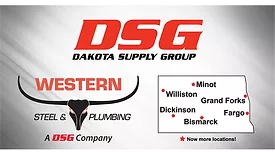 DSG expansion.png