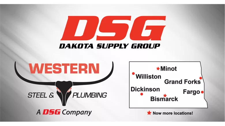 DSG expansion.png