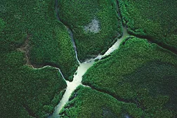 Aerial view of a marsh in Savannah, Georgia. 