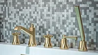 The 270.2420SB tub faucet & handshower. 