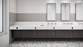 The Sloan FLITE-DEC Integrated Sink System 