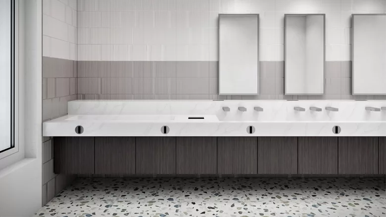 The Sloan FLITE-DEC Integrated Sink System