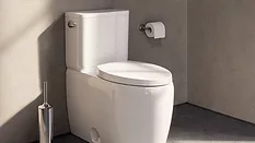 Duravit Collection One Two Piece Toilet