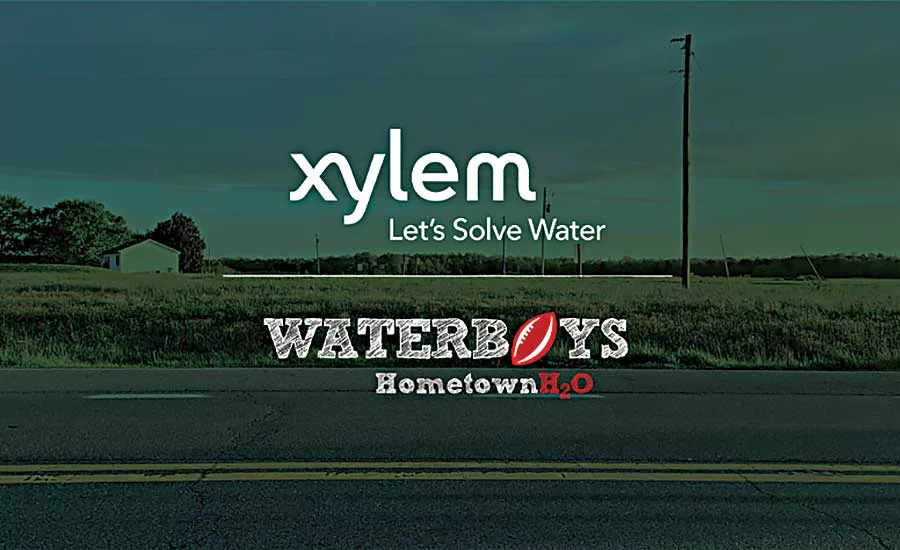 Xylem