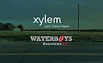 Xylem