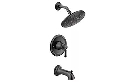 Moen Showerhead