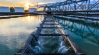Waterworks industry update