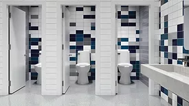 Sloan Gravity toilet