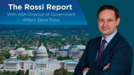The Rossi Report
