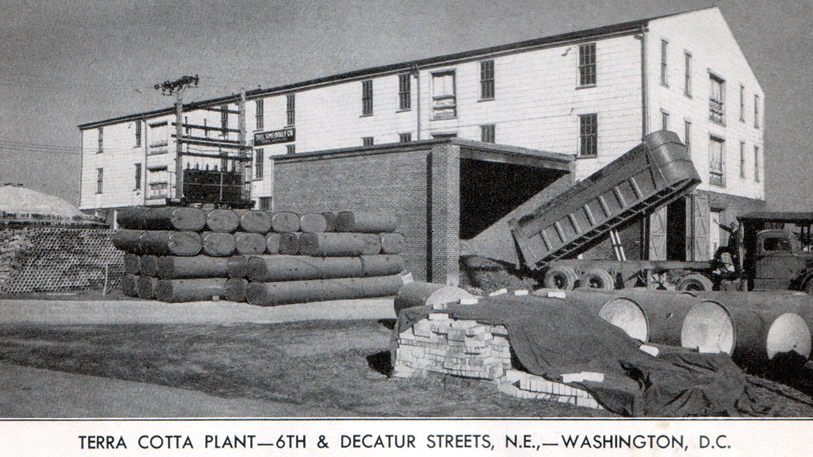 The original Terra Cotta plant