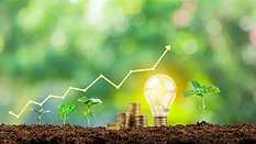 Marketing Growth