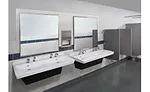 Bradley - Reasons for Not Using a School Restroom_Survey 4