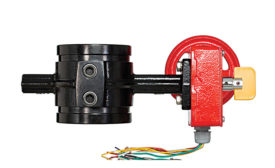 Tyco Fire Protection butterfly valve