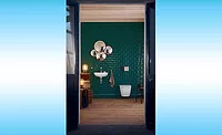 More toilet trends
