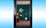 More toilet trends