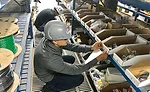 Winsupply’s Stock 360
