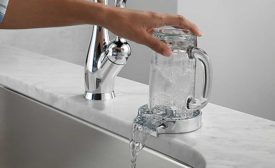 Delta Faucet glass rinser