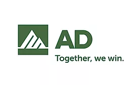 Numerically AD