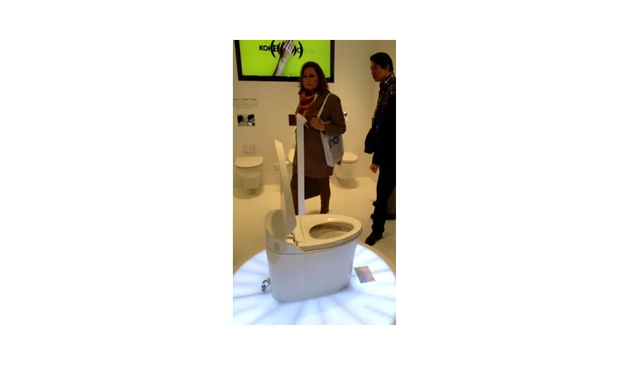 Veil toilet